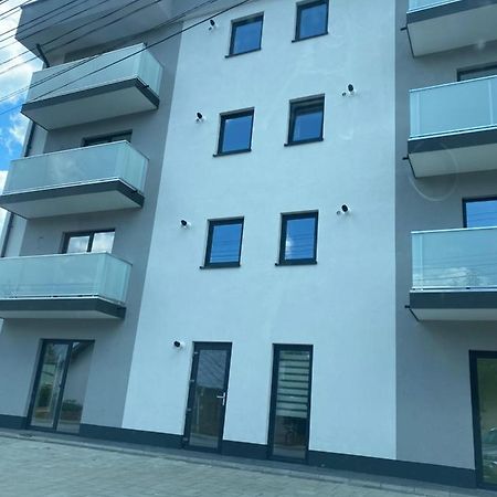 Ferienwohnung Luxury King Câmpulung Moldovenesc Exterior foto