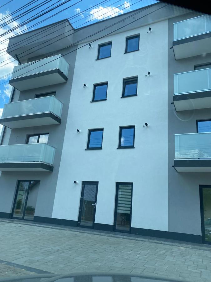 Ferienwohnung Luxury King Câmpulung Moldovenesc Exterior foto